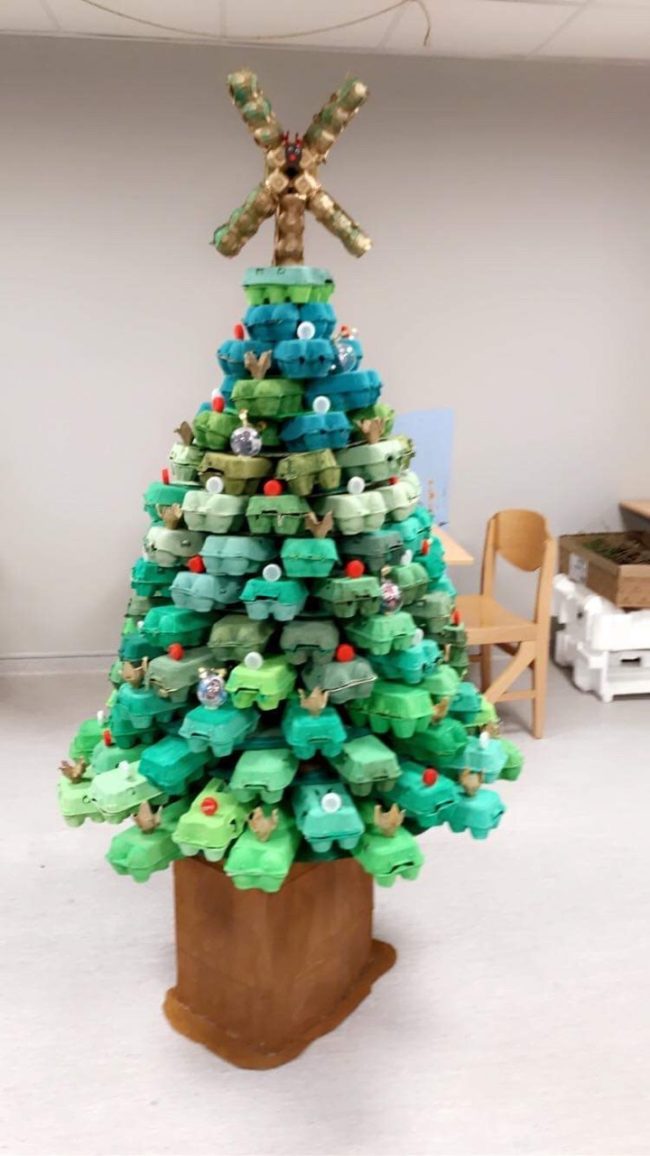 sapin de noël mas horizon cerbère ussap