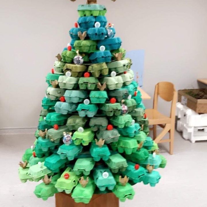 Sapin MAS Horizon Primé sapin de noël mas horizon cerbère ussap