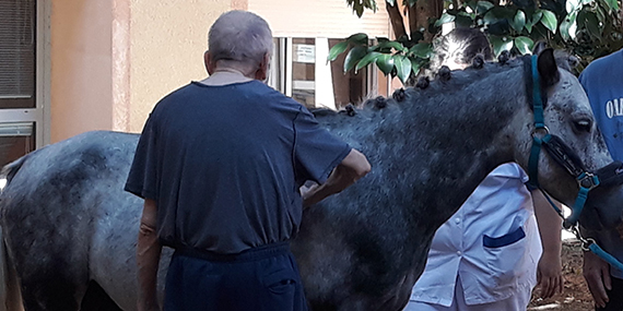 mediation animale ussap limpoux