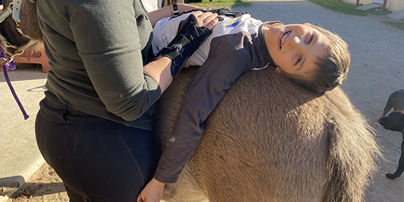 traitement équithérapie ussap