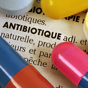 journee-europeenne-antibiotique journée européenne antibiotiques