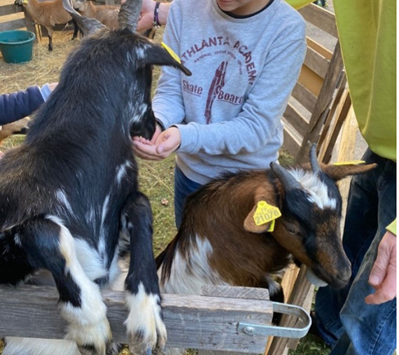 ferme-pedagogique-lutins-ipij-limoux-hopital-ussap ferme pedagogique hopital de jour enfants limoux