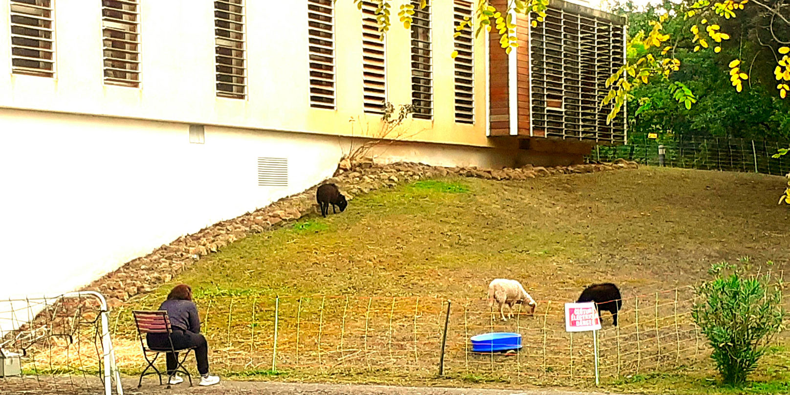 équithérapie ussap foyer d'accueil médicalisé rennes les bains